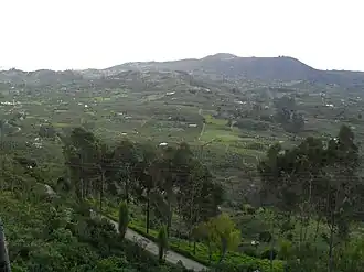 Fruit cultivation