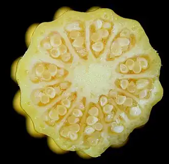 Cross section of N. variegata carpels