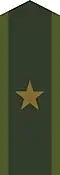 Collar patch m/58 for a second lieutenant