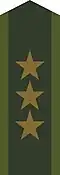 Collar patch m/58 for a captain