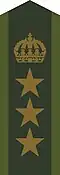 Collar patch m/58 for colonel