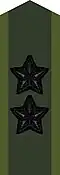 Collar patch m/58 (black m/02) on field uniform M90 (2002–present)