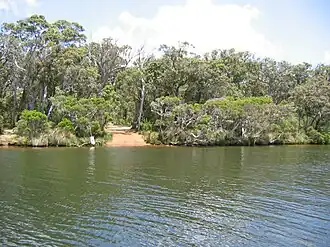 Sandy Beach, Molloy Island, 2015
