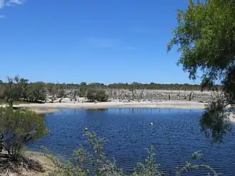 Barragup Swamp, Furnissdale (near Mandurah), Western Australia.