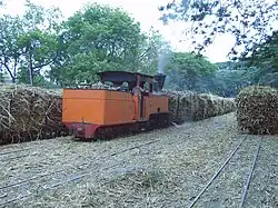 Pagotan 06