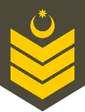 Baş çavuş (Azerbaijani Land Forces)[14]