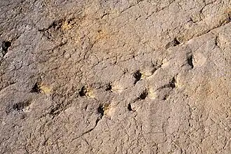 Trackway showing a right turn