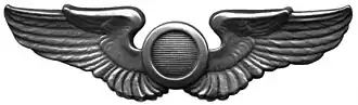 Silver wings with the letter O