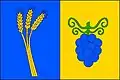 Flag of Odrovice