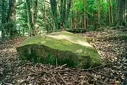 Ōnodai Dolmen Cluster