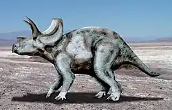 Ojoceratops