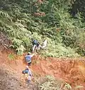 Old and rugged path.