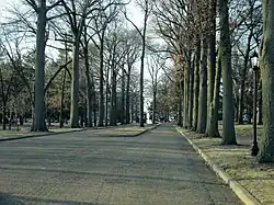 Tree-lined entrance of the Lindenwood University