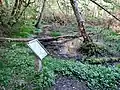 Information board in the Prehistoric Forest