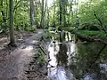 The Prehistoric Trail by the Giber Å