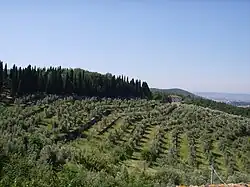 Hills in the territory of Calenzano