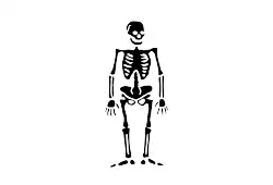 Interpretation of the pirate flag of Olivier "La Buse" Levasseur, described as a "white ensign with a figure of a dead man spread in it"; one of the few mentions of a black-on-white Jolly Roger flag.[59]