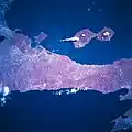 Ometepe from space, January 1997