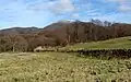 Mt.Omoshiroyama