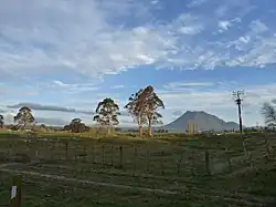 A farm in Onepu