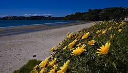 Onetangi Beach