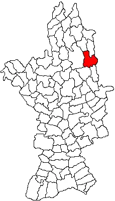 Location in Olt County