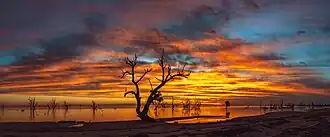 Lake Menindee shoreline, Sunset Strip