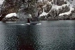 An orca swimming in the Prince William Sound in the Gulf of Alaska.