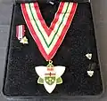 The full-size insignia, along with a miniature medal and lapel pins