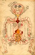 The Organs.