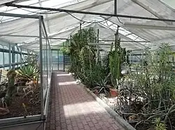 Succulent Plant Greenhouse "Giuseppe Lodi"