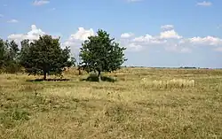 Terrain and vegetation of Vtáčí ostrov ("Bird Island")