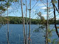 Benton Pond, East Otis