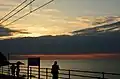 The view from train