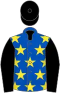 Royal blue, yellow stars, black sleeves and cap