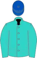 Turquoise, royal blue cap