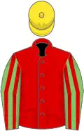 Red, light green and red striped sleeves, yellow cap
