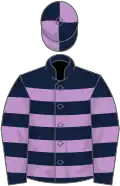 Dark Blue, Mauve hoops, quartered cap