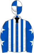 Royal blue and white stripes, royal blue sleeves, white stars, quartered cap