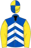 Royal blue, white chevrons, yellow sleeves, yellow and royal blue quartered cap