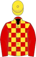 Red and yellow check, red sleeves, yellow cap