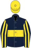 Dark blue, yellow hoop, striped sleeves, yellow cap