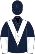 Dark blue, white chevron, halved sleeves, dark blue cap