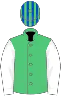EMERALD GREEN, white sleeves, royal blue and emerald green striped cap