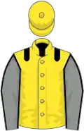 Yellow, black epaulettes, grey sleeves, black seams, yellow cap