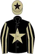 Black, beige star, striped sleeves, beige cap, black star