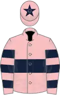 Pink, dark blue hoop, hooped sleeves, dark blue star on cap