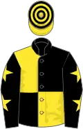 Black and yellow quartered, yellow stars on sleeves, yellow and black hooped cap