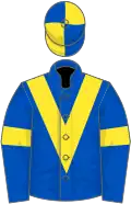 Royal blue, yellow chevron, yellow armlet, quartered cap