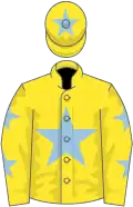 Yellow, light blue star, stars on sleeves, star on cap